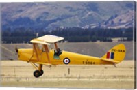 Framed Tiger Moth Biplane, Wanaka, South Island, New Zealand