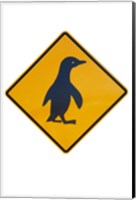Framed Penguin Warning Sign, New Zealand