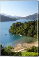 Framed Whenuanui, Becks Bay, Marlborough Sounds, South Island, New Zealand