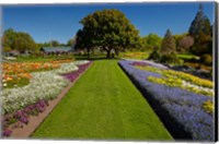 Framed Pollard Park, Blenheim, Marlborough, New Zealand