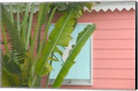 Framed Palm and Pineapple Shutters Detail, Great Abaco Island, Bahamas