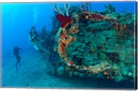 Framed Wreck of the RMS Rhone, Coast of Salt Island, near Tortola, British Virgin Islands