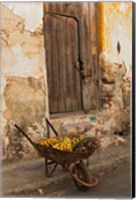 Framed Bananas in wheelbarrow, Havana, Cuba