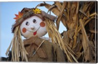 Framed Scarecrow and Dead Corn Husks, Carnation, Washington