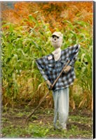 Framed New York, Cooperstown, Farmers Museum Fall cornfield with scarecrow