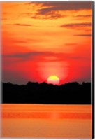 Framed Amazon Jungle, Brazil, Sunset