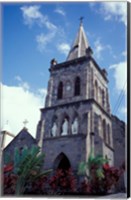 Framed Roseau, Dominica