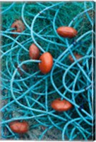 Framed Dominica, Anse de Mai, fishing net