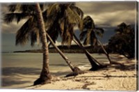 Framed Playa Rincon beach, Las Galeras, Samana Peninsula, Dominican Republic