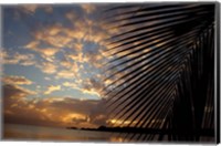 Framed USVI, StThomas, Lindergh Bay, Emerald Beach