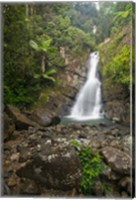 Framed Puerto Rico, El Yunque, La Mina Waterfalls