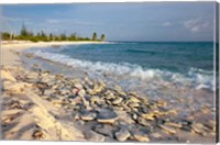 Framed Waves, Coral, Beach, Punta Arena, Mona, Puerto Rico