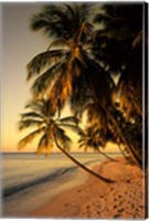 Framed Beach at Sunset, Trinidad, Caribbean