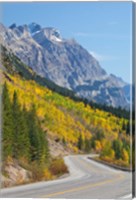 Framed Canada, Alberta, Jasper NP Scenic of The Icefields Parkway