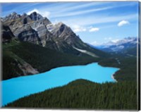 Framed Peyto Lake, Banff National Park, Alberta, Canada