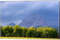 Framed Crowsnest Mountain at Crownest Pass in Alberta, Canada