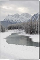 Framed Icefields Parkway, Jasper National Park, Alberta, Canada