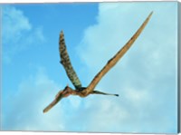 Framed Zhenyuanopterus, a genus of pterosaur from the Cretaceous Period