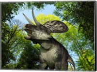 Framed Zuniceratops wanders a Cretaceous forest