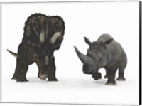 Framed Adult Nedoceratops Compared to a Modern Adult White Rhinoceros