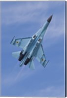Framed Ukrainian Air Force Su-27 Flanker