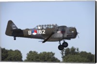Framed T-6 Harvard Trainer of the Dutch Air Force Historic Flight Team