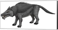 Framed Andrewsarchus, an Ungulate Mammal from the Eocene Epoch