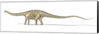 Framed 3D Rendering of a Diplodocus Dinosaur with Full Skeleton Superimposed