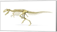 Framed 3D Rendering of a Giganotosaurus Dinosaur Skeleton