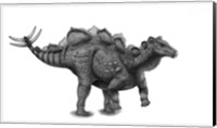 Framed Pencil Drawing of Wuerhosaurus Homheni Standing on its Hind Legs