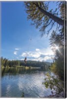 Framed Rope swinging at Champion Lakes Provincial Park, BC, Canada