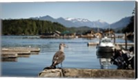 Framed British Columbia, Vancouver Island, Strathcona Park, Harbor