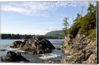 Framed Outcrop, Hot Springs Cove, Vancouver Island, British Columbia