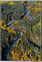 Framed Todagin Creek, River, South Slope, British Columbia