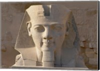 Framed Ramesses II, New Kingdom, Temple of Luxor, Egypt