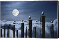 Framed Seagulls Perched on Wooden Posts under a Full Moon