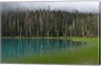 Framed Blue glacial lake, evergreen forest, British Columbia