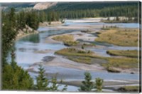 Framed Rivers in Jasper National Park, Canada