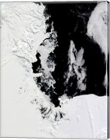 Framed January 18, 2010 - Ross Sea, Antarctica