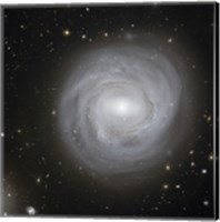 Framed Spiral Galaxy NGC 4921