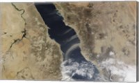 Framed Dust plumes blow off the coast of Saudi Arabia and over the Red Sea