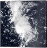 Framed Tropical Storm Dolly