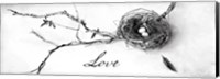 Framed Nest and Branch II Love