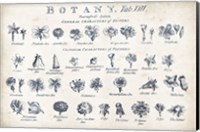 Framed Botany Tab VIII Indigo and White
