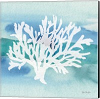 Framed 'Sea Life Coral II' border=