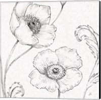 Framed 'Blossom Sketches I' border=