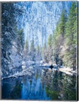 Framed Winter trees along Merced River, Yosemite Valley, Yosemite National Park, California
