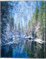 Framed Winter trees along Merced River, Yosemite Valley, Yosemite National Park, California