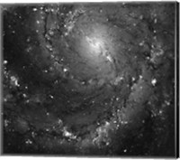 Framed Hubble Space Telescope Imaging of Hot Gas and Star Birth in M101