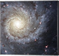 Framed Spiral Galaxy M74